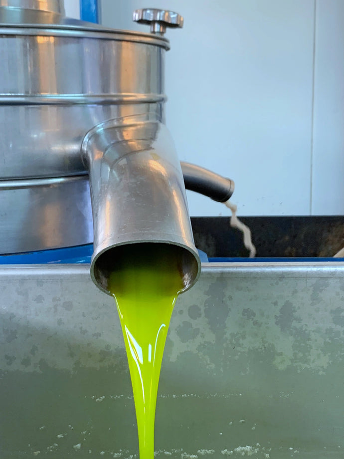 What Does Cold Press Olive Oil Really Mean?