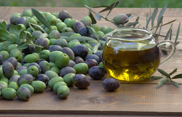 Phileos Explores the Evidence Based Health Benefits Found In Our Extra Virgin Olive Oil